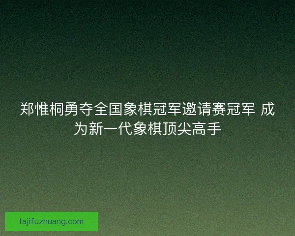 郑惟桐勇夺全国象棋冠军邀请赛冠军 成为新一代象棋顶尖高手